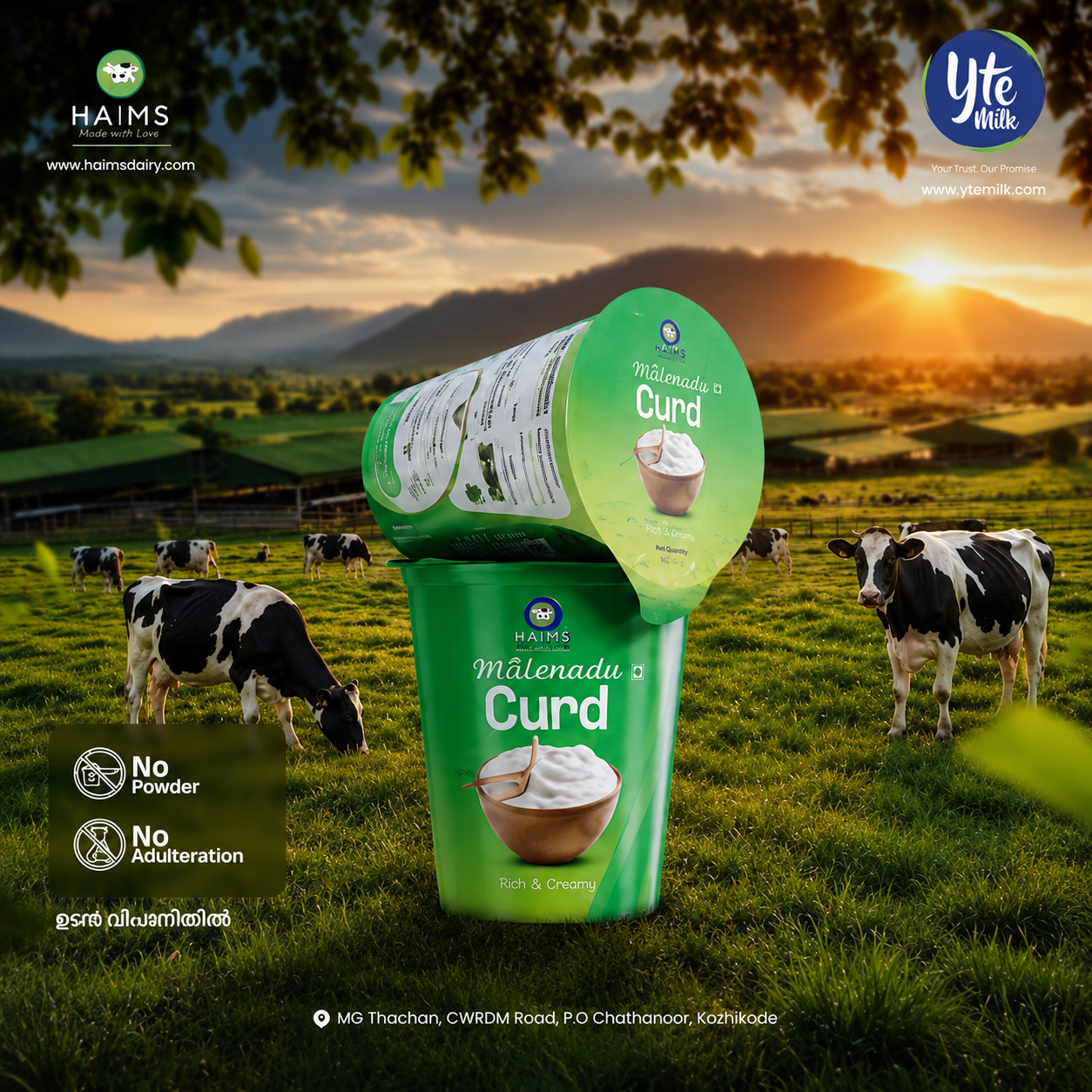 Fresh curd cup