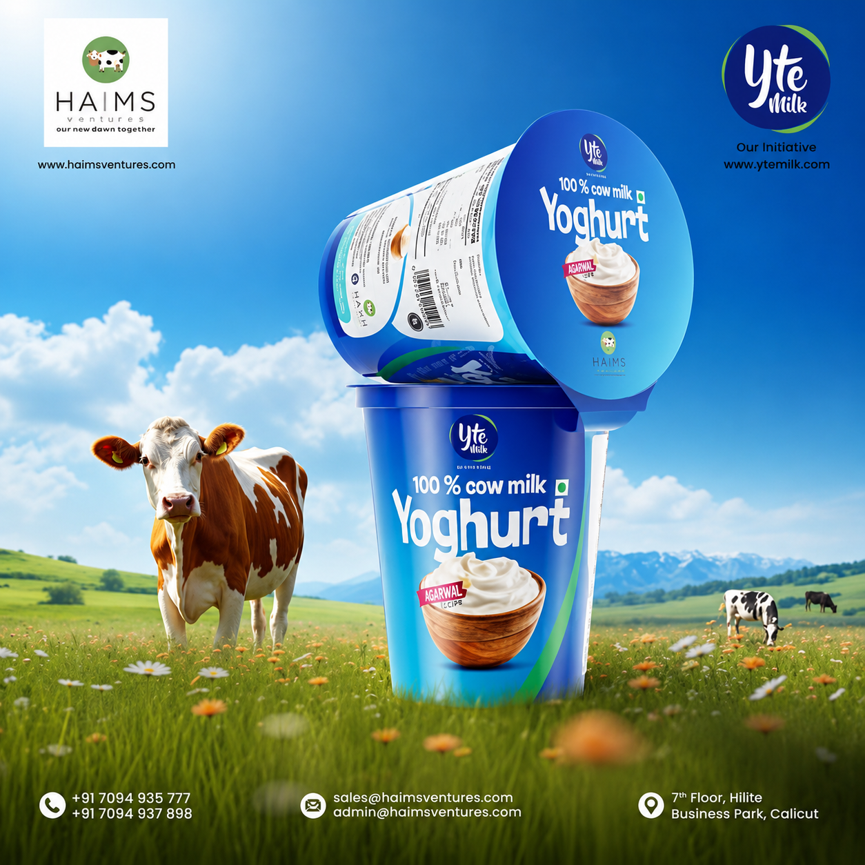 Fresh yogurt cup